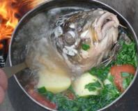 Уха из горбуши – царское первое блюдо: с дымком или водкой?
